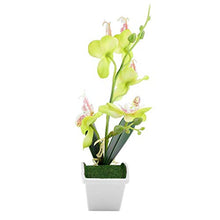 Load image into Gallery viewer, Okuyonic Durable Artificial Butterfly Orchid Beautiful Plastic Reusable Exquisite Workmanship Decorative Plants for Office

