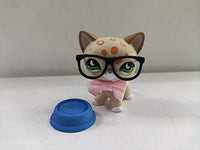 Littlest Pet Shop LPS#852 Orange Yellow Short Hair Cat Toy W/Accessories