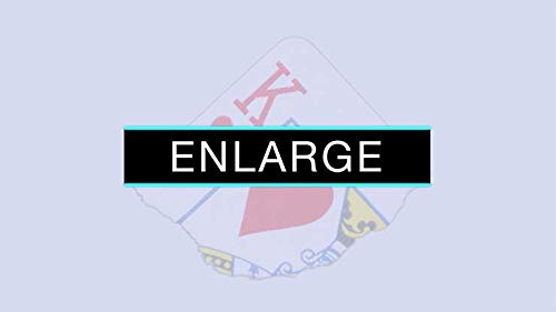 Enlarge (DVD and Gimmicks) by SansMinds | DVD | Card Magic