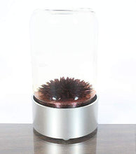 Load image into Gallery viewer, MTR Designs Spike RED Colored Ferrofluid in a Bottle Magnetic Liquid Sculpture Educational Display Executive Desk Toy
