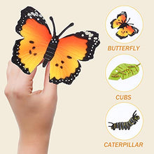 Load image into Gallery viewer, HEMOTON 4pcs Butterfly Life Cycle Stages Figurines Caterpillars to Butterflies Bug Life Cycles Creative Nature Insects Life Cycles Growth Model Science Educational Toys (1628)
