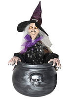 Sunstar Industries Animated Witch in Cauldron Decoration Standard