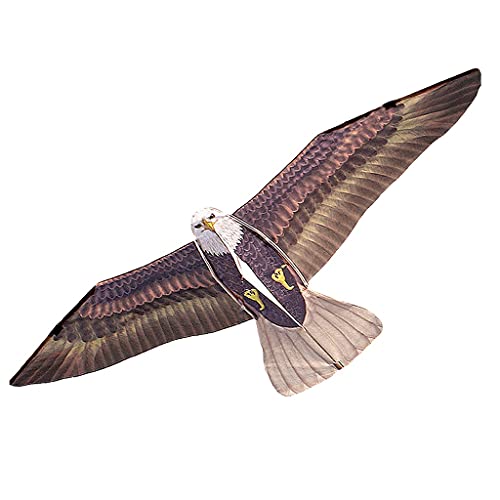 ZANZAN Brown Eagle Kite with 67
