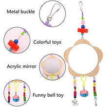 Load image into Gallery viewer, GFHFG Chicken Hanging Feeder and Mirror Toys Steel Chain Toy Fruit Vegetable Holder for Hens Cocks
