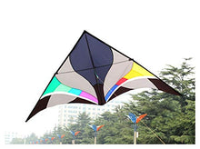 Load image into Gallery viewer, XIBEI Triangle Kites for Kids and Adults, One Line Kite,Easy to Fly Kites with String and Handle, Outdoor Toys for Kids(118X53 inch)
