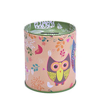 Load image into Gallery viewer, Welecom Owl Piggy Bank Tinplate Piggy Bank Children&#39;s Gifts Kid Gift Money Box
