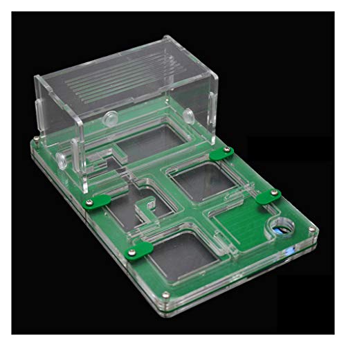 LLNN Insect Villa Acryl Ant Farm DIY Nest, Ant Farms Acrylic Ant Home, Natural Insect Ecology Box Children's Birthday Gifts DIY Toy Educational 7.3x4.7x3 inch Festival Birthday Gift (Color : Green)