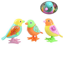 Load image into Gallery viewer, Toyvian 3pcs Wind Up Toy Plastic Clockwork Bird Toy Wind Up Animal Party Favors Toy Gift for Boys Girls Kids Toddlers (Random Color)
