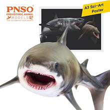Load image into Gallery viewer, PNSO Prehistoric Animal Models: (54Aidan The Cretoxyrhina)
