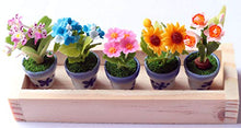 Load image into Gallery viewer, ThaiHonest Set 5 Assorted Dollhouse Miniature Flowers,Tiny Flowers in Ceramic Pot with Planter Box, Dollhouse Accessories for Collectibles
