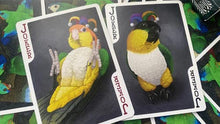 Load image into Gallery viewer, MJM Parrot Prototype Playing Cards
