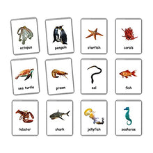 Load image into Gallery viewer, Sea Animals Flash Cards - 26 Laminated Flashcards | Ocean Animals | Water Animals | Homeschool | Multilingual Flash Cards | Bilingual Flashcards - Choose Your Language (English Only)
