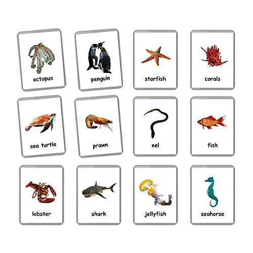 Sea Animals Flash Cards - 26 Laminated Flashcards | Ocean Animals | Water Animals | Homeschool | Multilingual Flash Cards | Bilingual Flashcards - Choose Your Language (English Only)