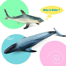 Load image into Gallery viewer, Sea Animals Toys for Kids, Yarloo Realistic Sea Creatures, Solid Ocean Animal Figures Bath Toys for Toddlers, 6 Pieces Ocean Party Favors Include: White Shark, Humpback, Dolphin,Polar Bear and More
