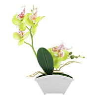 Okuyonic Beautiful Exquisite Workmanship Durable Reusable Plastic Artificial Butterfly Orchid for Home