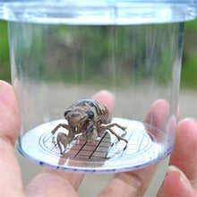 Load image into Gallery viewer, Weiy Transparent Insect Observation Box,Magnifying Insects Cup Toys Insects Study Tool for Kids
