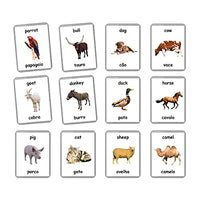 Farm Animals Flash Cards - 27 Laminated Flashcards | Homeschool | Montessori Materials | Multilingual Flash Cards | Bilingual Flashcards - Choose Your Language (Portuguese + English)