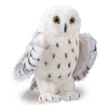 Load image into Gallery viewer, Douglas Legend Snowy Owl Plush Stuffed Animal
