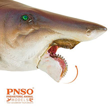 Load image into Gallery viewer, PNSO Prehistoric Dinosaur Models: 43 Haylee The Helicoprion
