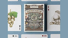 Load image into Gallery viewer, Murphy&#39;s Magic Supplies, Inc. Cabinetarium Playing Cards by Art of Play
