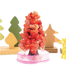 Load image into Gallery viewer, YTYT Paper Tree Magic Growing Tree Toy Boys Girls Novelty Xmas 10ml
