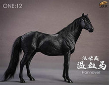 Load image into Gallery viewer, Lana Toys JXK 1/12 Germany Hanover Horse Figure Warm-Blood Horse Hanoverian Steed Animal Model Realistic Educational Painted Figure Decoration Toy Collector Gift Adult (Black)
