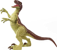 Load image into Gallery viewer, Jurassic World Toys Fierce Force Velociraptor Camp Cretaceous Dinosaur Action Figure Movable Joints, Realistic Sculpting &amp; Single Strike Feature, Kids Gift Ages 3 Years &amp; Older, Mixed Color
