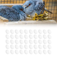 Meiyya Summer Enjoyment Fake Eggs, 50pcs Simulation Plastic Artificial Eggs for Assisting Hatching for Birds