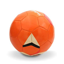 Load image into Gallery viewer, Daball Kid and Toddler Soccer Ball - Size 1 and Size 3, Pump and Gift Box Included (Size 3, Terry, The Fox)
