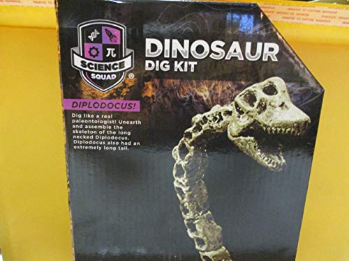 Uknown Dinosaur Diplodocus Dig Kit