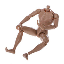 Load image into Gallery viewer, XISAOK 1/6 Male Figure Body Model Narrow Shoulder,Male Body Sketch Male Muscular Action Body TTM18/TTM19
