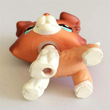 Load image into Gallery viewer, MKDLB LPS Pet Shop Toys,Cat Big Dan Dog PVC Small Animal Standing Action Children Gift
