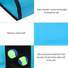 Load image into Gallery viewer, Dodgeball Game ,Throwing Target Game with Balls Dodgeball Tag Stickness Vest Outdoor Fun Activities for Children (Blue) Children&#39;s Sports Equipment
