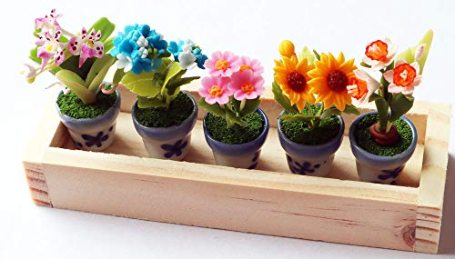 ThaiHonest Set 5 Assorted Dollhouse Miniature Flowers,Tiny Flowers in Ceramic Pot with Planter Box, Dollhouse Accessories for Collectibles