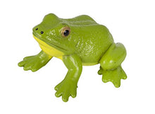 Load image into Gallery viewer, Safari Ltd  Life Cycle of a Frog
