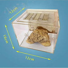 Load image into Gallery viewer, LLNN Insect Villa Acryl Ant Farm DIY Nest, Ant Farm Sand Nest Kids Toy Plastic Ant House, Insect Villa House Toy Easy to Install 3.9x4.7x3.9 Inch Festival Birthday Gift
