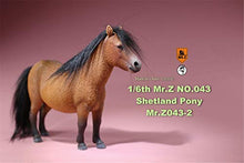 Load image into Gallery viewer, Mr.Z 1/6 Shetland Pony Horse Figure Equidae Farm Animal Model Realistic Educational Painted Figure Resin Perissodactyla Toys Collector Home Decoration Gift Birthday for Adult (Brown)
