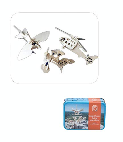 Streamline Miniature Flying Machines in a Tin