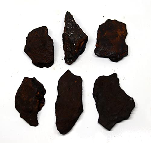 Fossils, Meteorites, & More NANTAN Iron Meteorite Lot of 6 -Genuine-80.6 Grams w/Card & COA #16384 9o