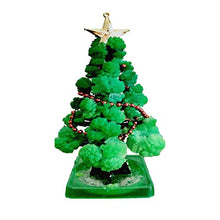 Load image into Gallery viewer, KHFU 1/2/3/5/7/10 PCS Magic Growing Crystal Christmas Tree,Magic Growing Halloween Decorations Tree/Xmas Ornaments/Wall Hanging Gifts for Kids Funny Educational/Party Toys (1sets Liquid Tree)
