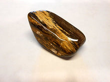Load image into Gallery viewer, Rock Tumbler Gem Refill Kit Cameron, Texas Petrified Wood Tumbling Rough 8oz
