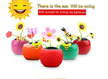 Load image into Gallery viewer, Set of 5 Cute Solar Power Flip Flap Flower Insect for Car Decoration Swing Dancing Flower Eco-Friendly Bobblehead Solar Dancing Flowers in Colorful Pots
