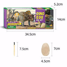 Load image into Gallery viewer, HSTD Dozen Dino Eggs Dig Kit ?Easter Egg Toys for Kids ?Break Open 12 Unique Large Surprise Dinosaur Filled Eggs &amp; Discover 12 Cute Dinosaurs. Archaeology Science Crafts Gifts for Boys &amp; Girls
