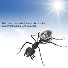Load image into Gallery viewer, A sixx Funny Toy, Educational Toys, Built-in Miniature Vibrating Motor Solar Powered Insect for Entertainment Kids Above 7 Years Old Prank Toy
