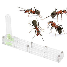 Load image into Gallery viewer, A sixx Ant Breeding Box, Acrylic Ant Breeding Nest Ant Farm House Ant Display Box with Water Tower, Moisturizing, with 1Pcs Dropper, 1Pcs Clamp, 1Pcs Glass Bottle(Transparent)
