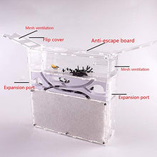 Load image into Gallery viewer, LLNN Insect Villa Acryl Ant Farm DIY Nest, Ant Farm Acrylic Sand Nest Ant Home Manor Dry and Wet Double Nest, Watch Ants Dig Their Own Tunnels, Science Toys Kit Gift Festival Birthday Gift
