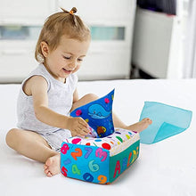Load image into Gallery viewer, teytoy My First Baby Tissue Box, Soft Stuffed High Contrast Crinkle Montessori Square Sensory Toys Juggling Rainbow Dance Scarves for Toddler, Infants, Newborns and Kids Educational Preschool Learning

