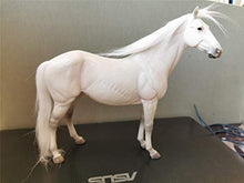 Load image into Gallery viewer, Lana Toys JXK 1/12 Germany Hanover Horse Figure Warm-Blood Horse Hanoverian Steed Animal Model Realistic Educational Painted Figure Decoration Toy Collector Gift Adult (White)
