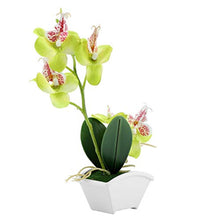 Load image into Gallery viewer, Okuyonic Durable Artificial Butterfly Orchid Beautiful Plastic Reusable Exquisite Workmanship Decorative Plants for Office
