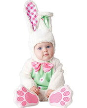 Load image into Gallery viewer, 6-12 MonthsToddler Lined Zipperedy Bunny Costume - by Baga Goodies
